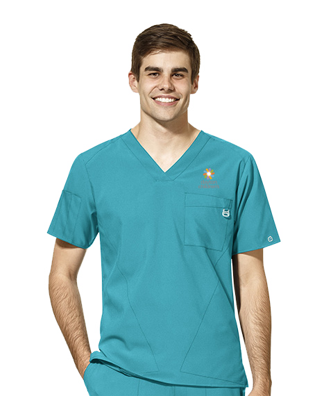 OT/PT/SLP