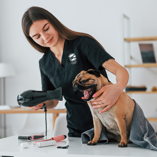 Veterinary Science